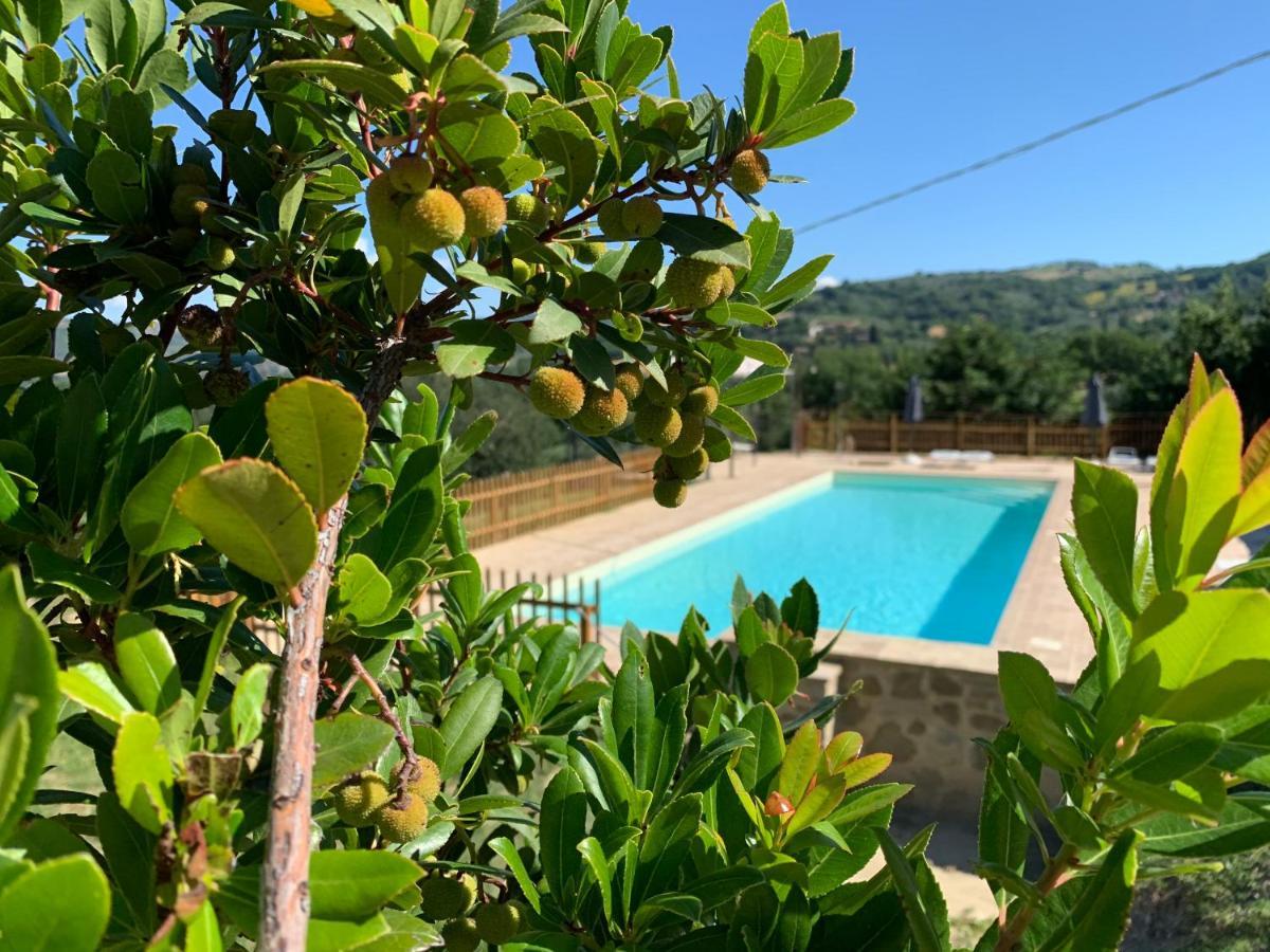 Agriturismo La Palazzetta Di Assisi Exterior foto
